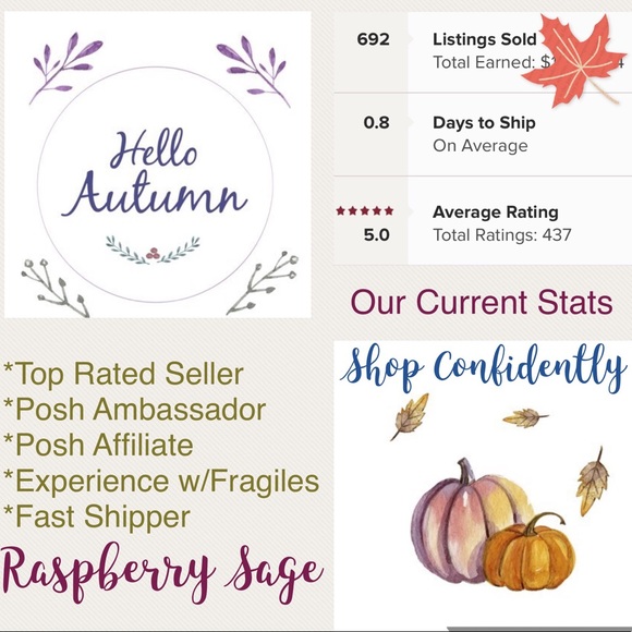 Our Current Stats ⭐️⭐️⭐️⭐️⭐️ - Picture 7 of 16